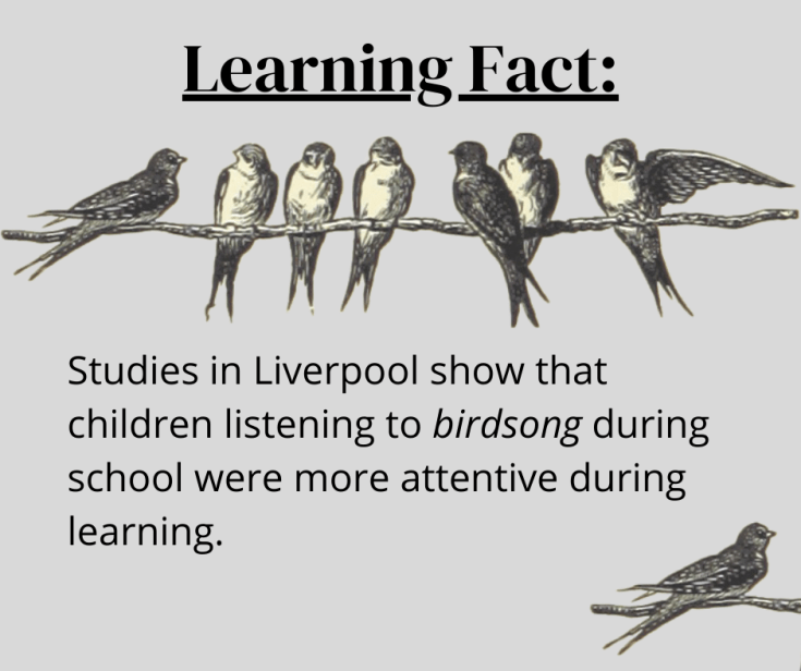 Facts about listening to birdsong while learning